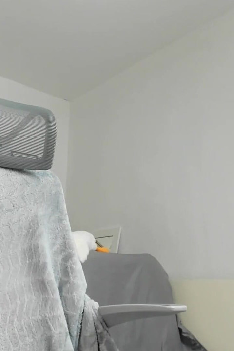 اقترضت لعبة جاري أثناء تسوقه لشراء منتجات الألبان