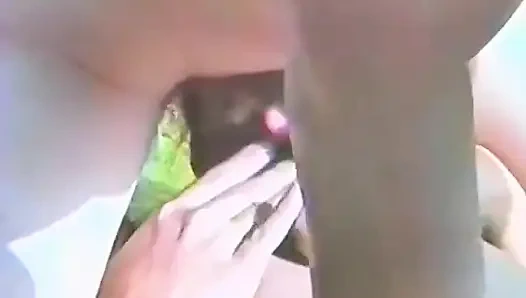 Memek amatir yang dicukur dipukul