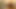 Desi Indian Milf Outdoor Public Quick Doggy Sex With Stranger In the Woods