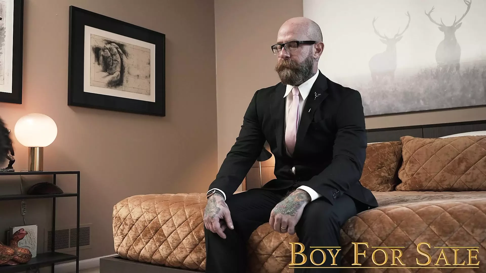 Boyforsale mester Dixon aranyos jock cole blue-t tenyészt