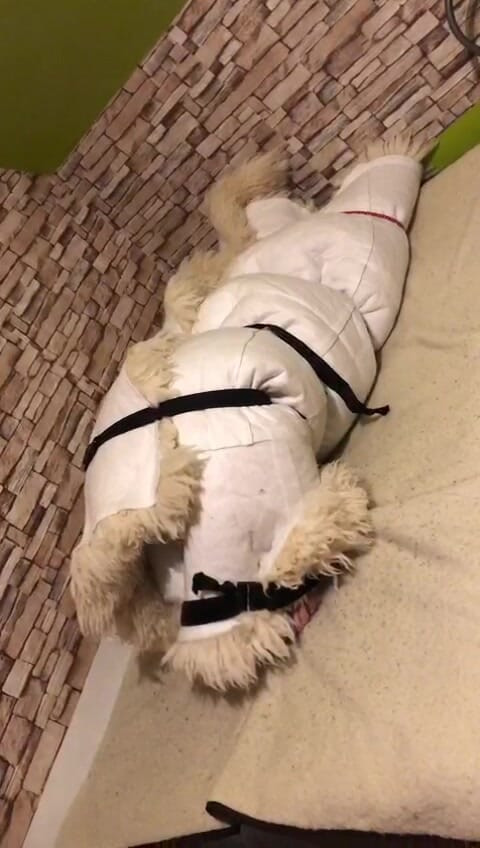 fur orgasm 4