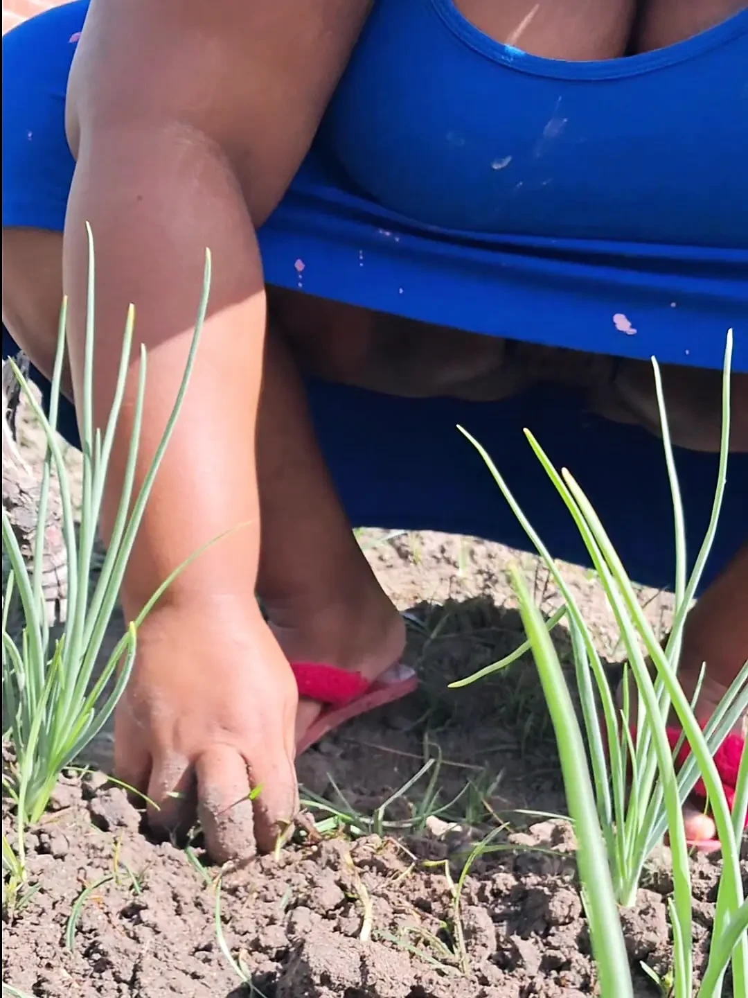 Hot stepmom went to the garden in a dress without panties and neighbor filmed