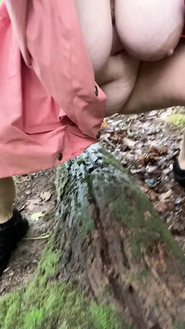 Hiking In The Forest