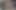 830 açgözlü şeytani yaratığı besliyor