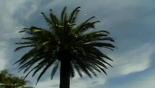 Aksi hot lesbian muasin dua lesbian rambut pirang dengan dildo warna ungu