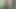 I masturbate in the woods