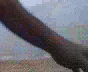 masturbation on beach
