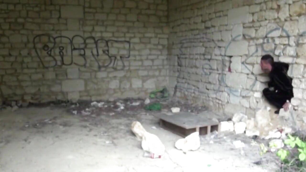 エンツォ積によるスタニーファルコーネ屋外