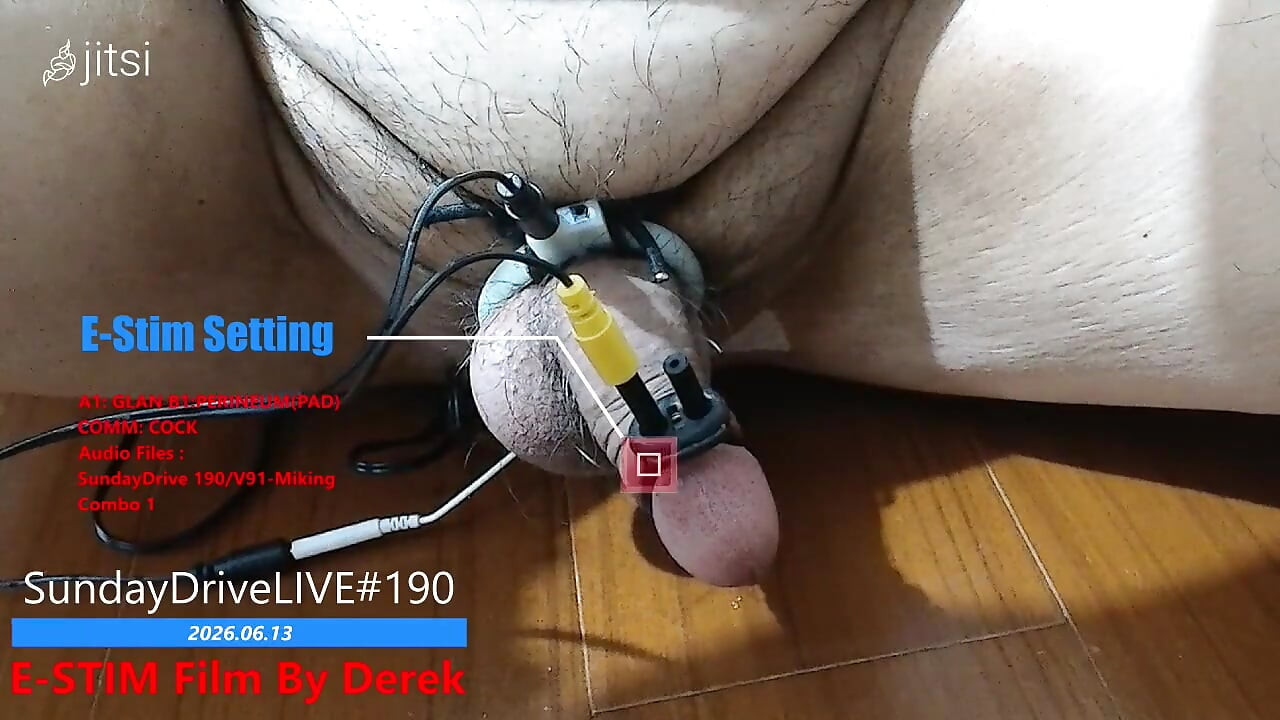 Afternoon Estim Fun on 20260613