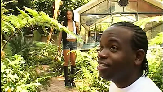 Harter sex mit einem BBC und einer nassen muschi