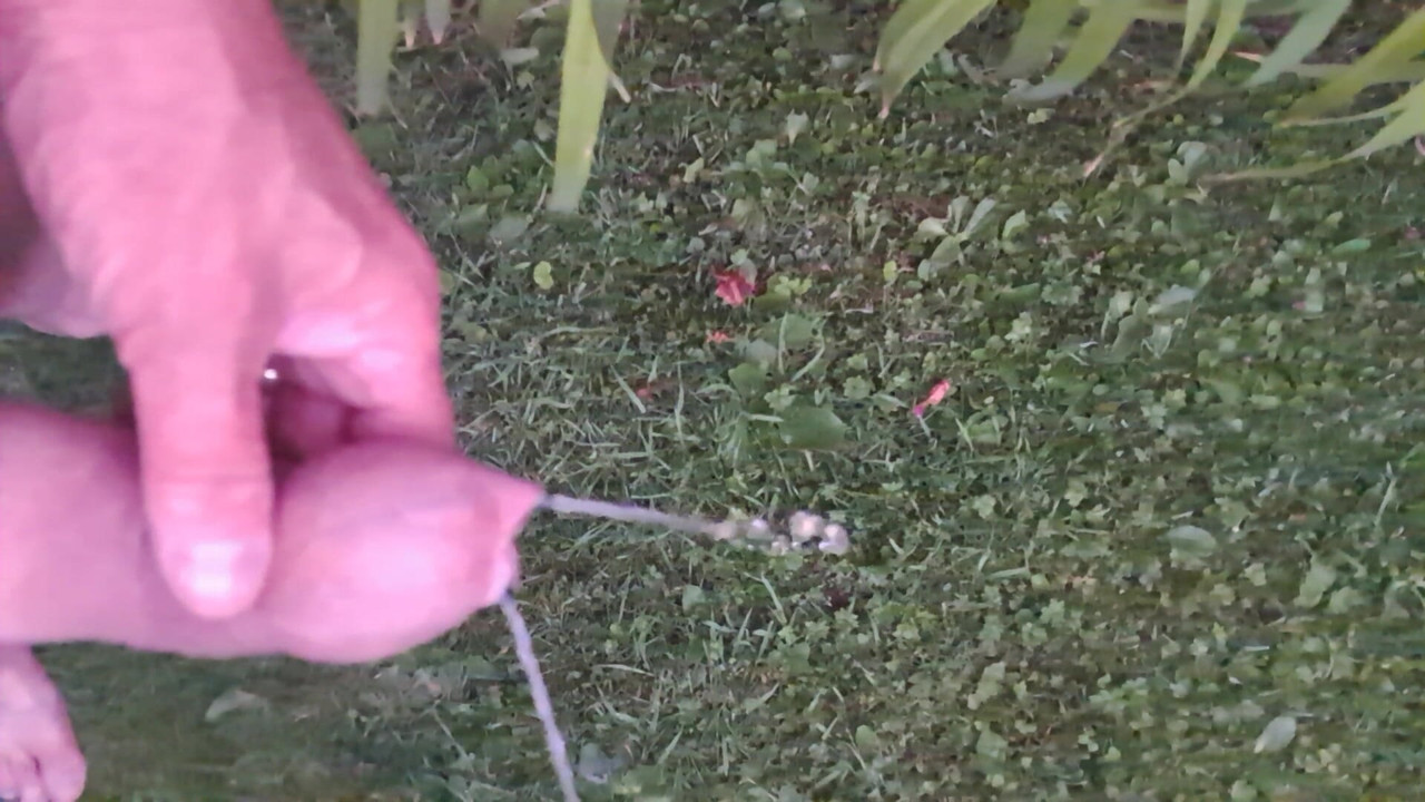 Kencing di taman