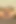 Tombul sarışın orta yaşlı seksi kadın amber lynn bach parmakları ve vibratörüyle canlı mastürbasyon yapıyor