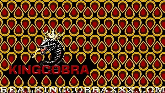 King Cobra oral eğitim 101: preston lees supreme yarak ibadeti