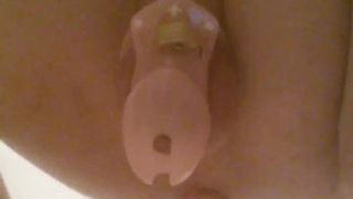 Cavalcando il culo nel bagno, Sprout è chiuso in una cintura di castità.