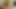 Stoya porn video – British brunette amateur lesbians