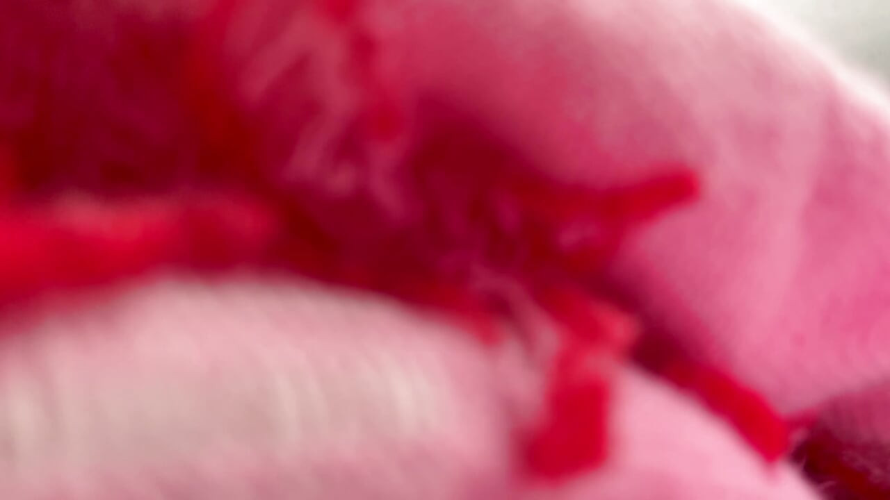 Open Your Mouth For My Toes