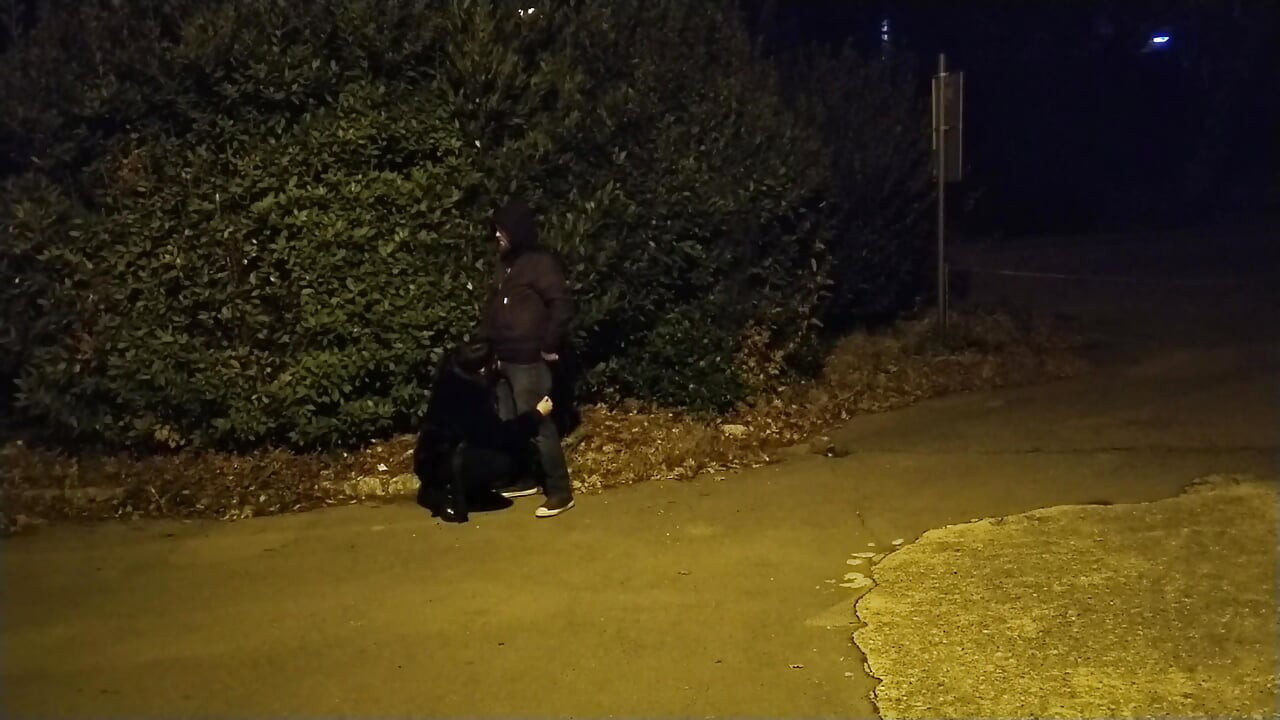 Amateur homemade blowjob video compilation