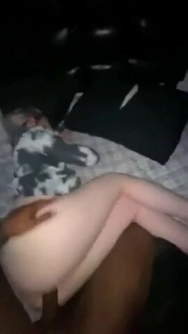Puta loira