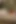 Handsome Blonde Brian Hawkes Getting Fucked After Intense Blowjob