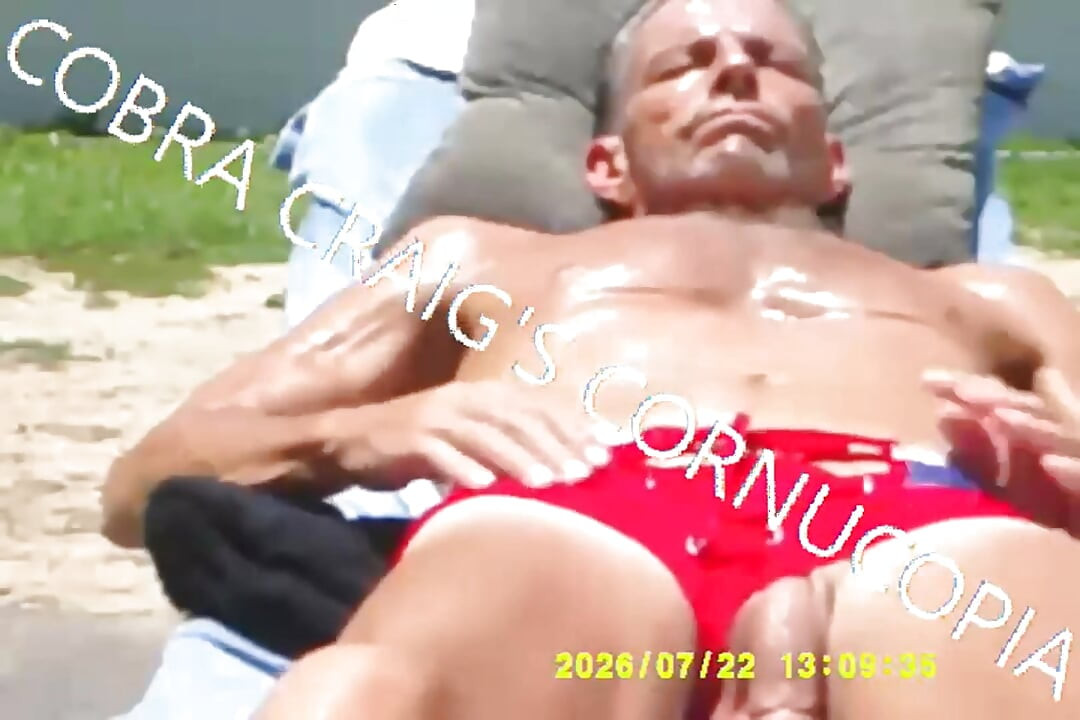 7-19-2026 the Cock the Sun Singing Venus Was Her Name Free Bird Wishing You Were Here