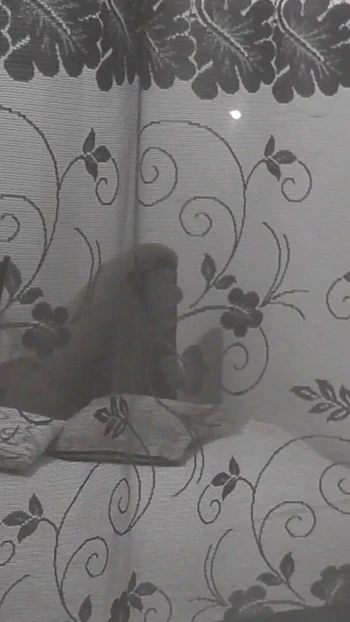 Key moment from "Public. Boy neighbor peeps on masturbating MILF through an opemn window"