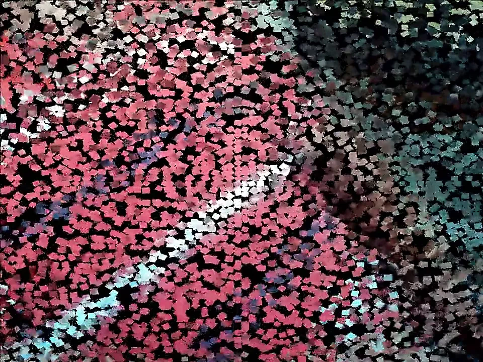 Jodybi灰发的熊爷爷在他的车里打手枪