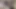 Azgın zenci sürtükler sırayla beyaz yarak emiyor