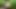 Naked and whipped hard in the forest