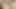 Naked BBW and Curvy Babe's Food Fight