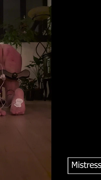A Extremly Painful Home Made Video with Caning, Electro Play and a Humbler, Hear Him Having Trouble!