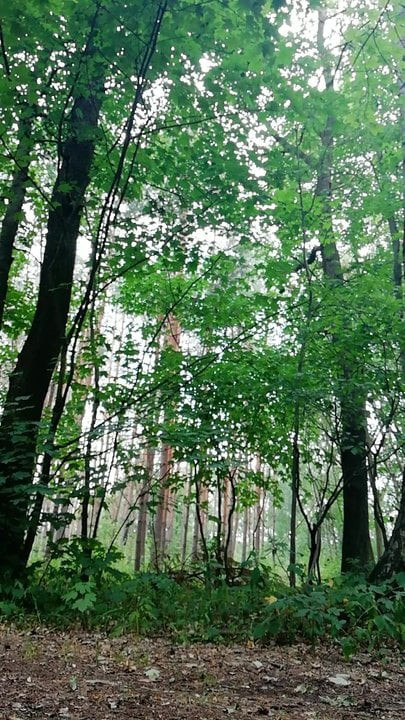 Sklavensau Outdoor