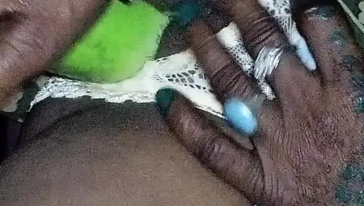 Дези невестка поставила веганку