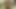 Schmutziges blondes teen isst einen schwanz in der küche