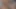 Emotional dick stroked in honey don't make me cum quick talking dirty loud orgasm cum