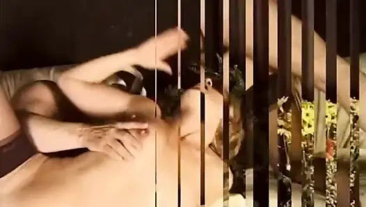 Swingers Tanpa Batas