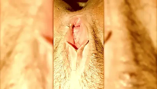 pulssy sow