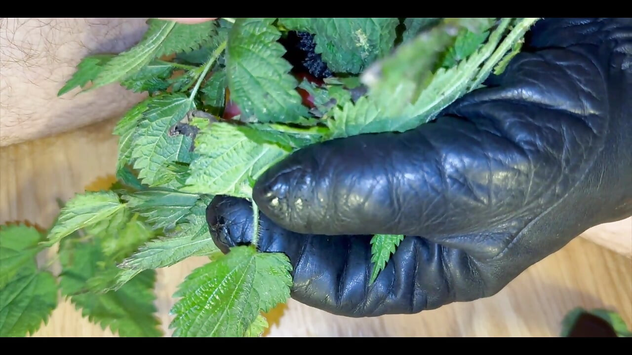 CBT Stinging Nettles Pump Cum