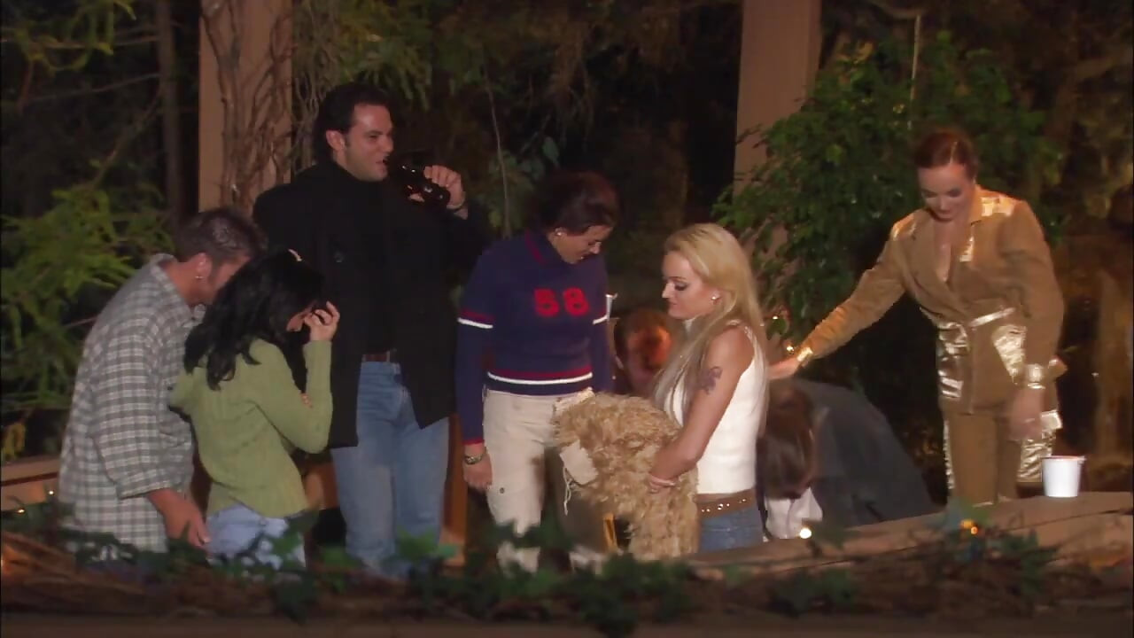 Historia miłosna w dżungli ...