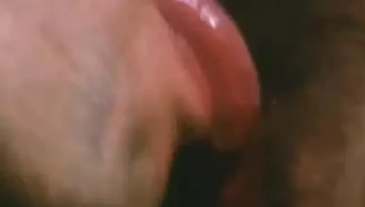 Classic Porn DVDs New Scene Upload