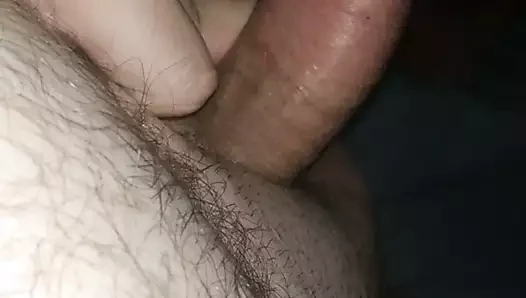 tıraşlı büyük dicky