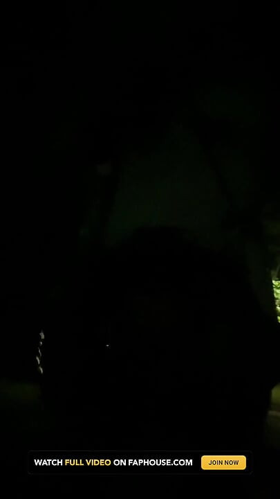 No. 282 a Nighttime Exhibitionist Stroll in the Park
