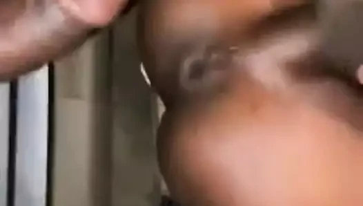 Homo erectus 401