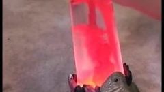 Awek menunggang lampu lava semasa 2 lelaki memancut mani di mukanya