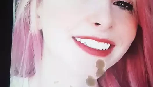 Cum haraç gabi catuzzo