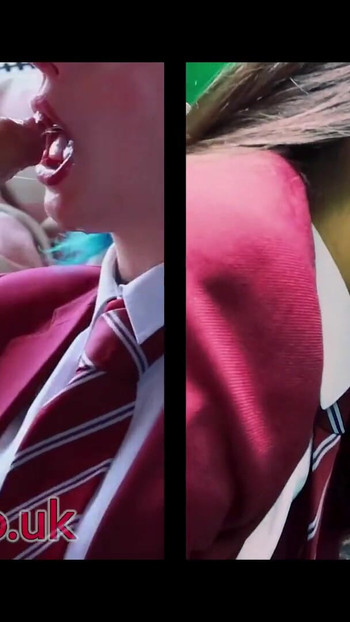 Pregled videozapisa