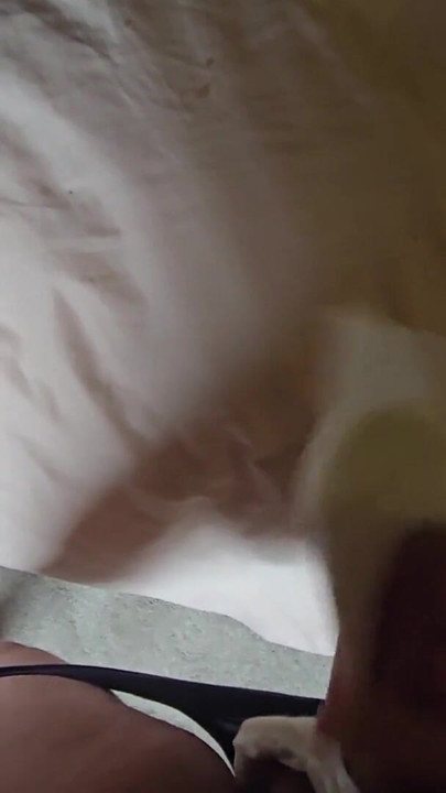 Sexy Lacey Sanitary Belt and Super Kotex | Clip 2