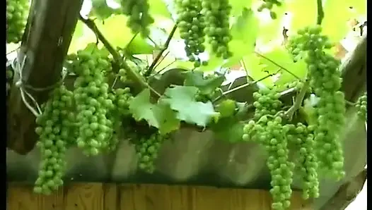 Волосатую зрелую ублажил ее раб