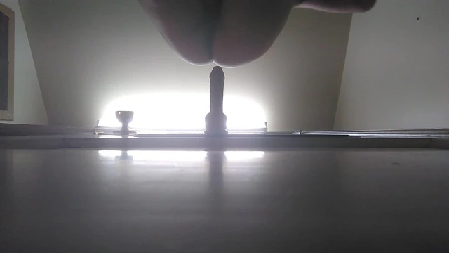 Afternoon fun