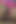 Oh No... He Cums Inside My Pussy by Accident, How Do I Tell My Husband That My Boss Knocked Me up