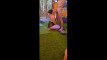 Pregled videozapisa